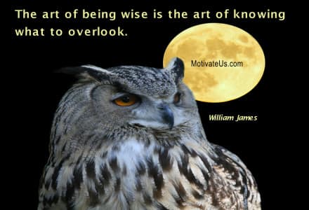 Inspirational Picture inspirational quote: The art of being wise is the art of knowing what to overlook.