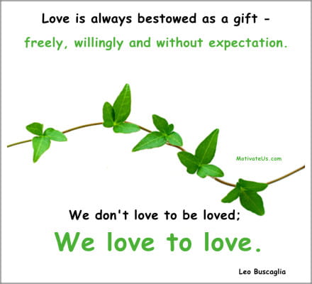 ivy on the vine and a quote about love by Leo Buscaglia