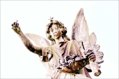 angel