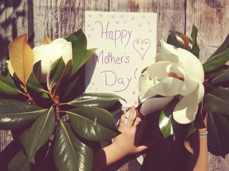 Happy Mother's Day beautiful blooming flowers