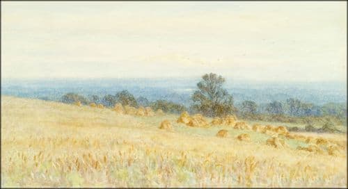a photo of an open field that looks like a painting